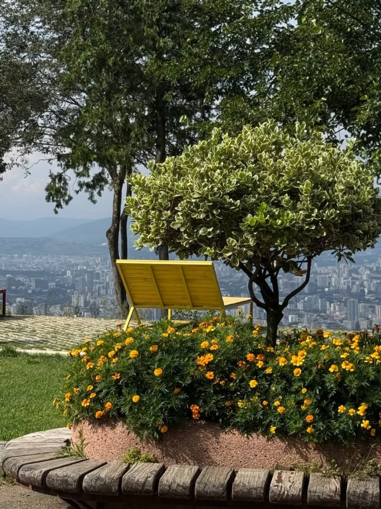 A garden terrace overlooking Tbilisi, Georgia.