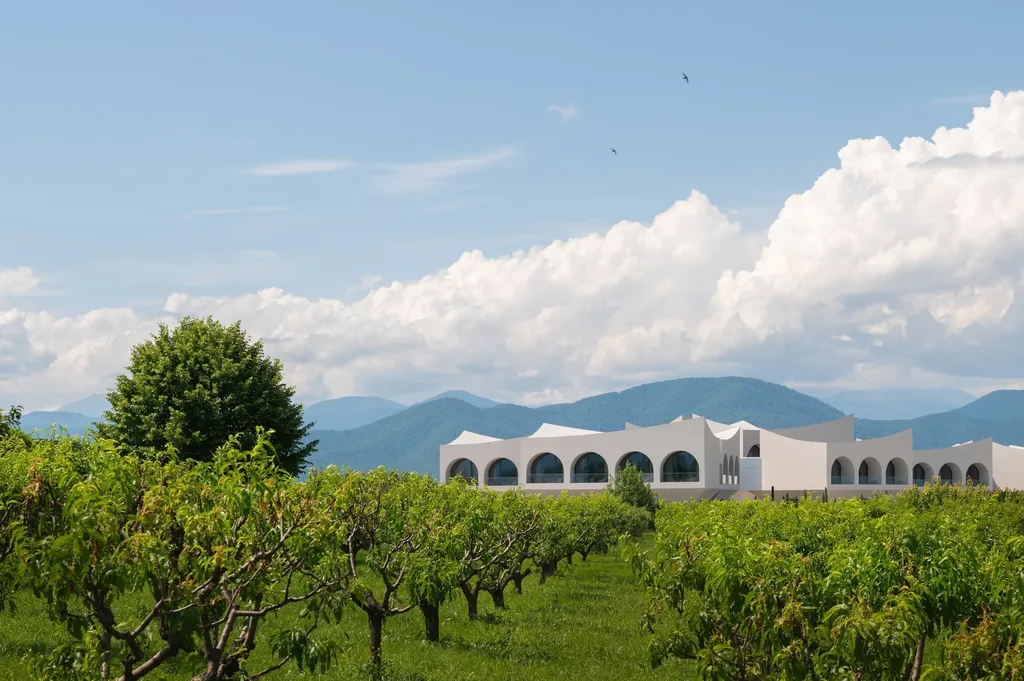 Alaverdi Sanctuary, Wine & Agriculture Resort — Vineyard surroundings