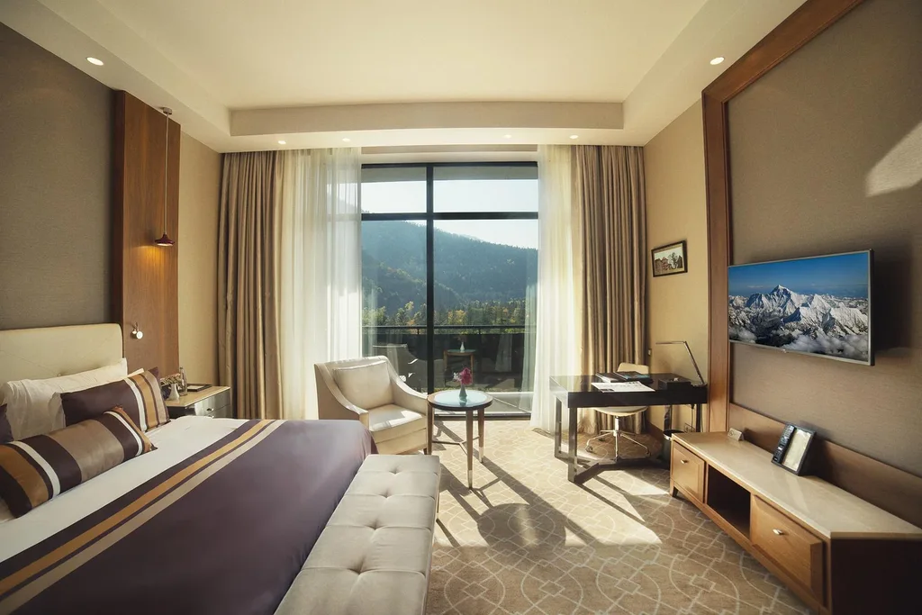 Borjomi Likani Health & Spa Centre — Suite