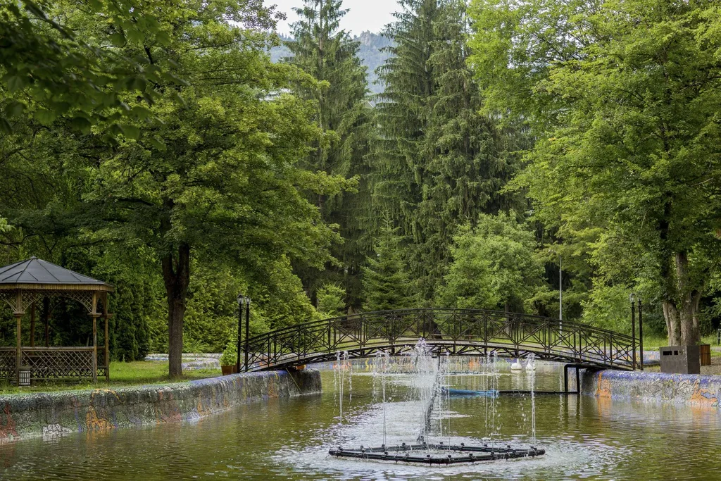 Borjomi Likani Health & Spa Centre — Park grounds