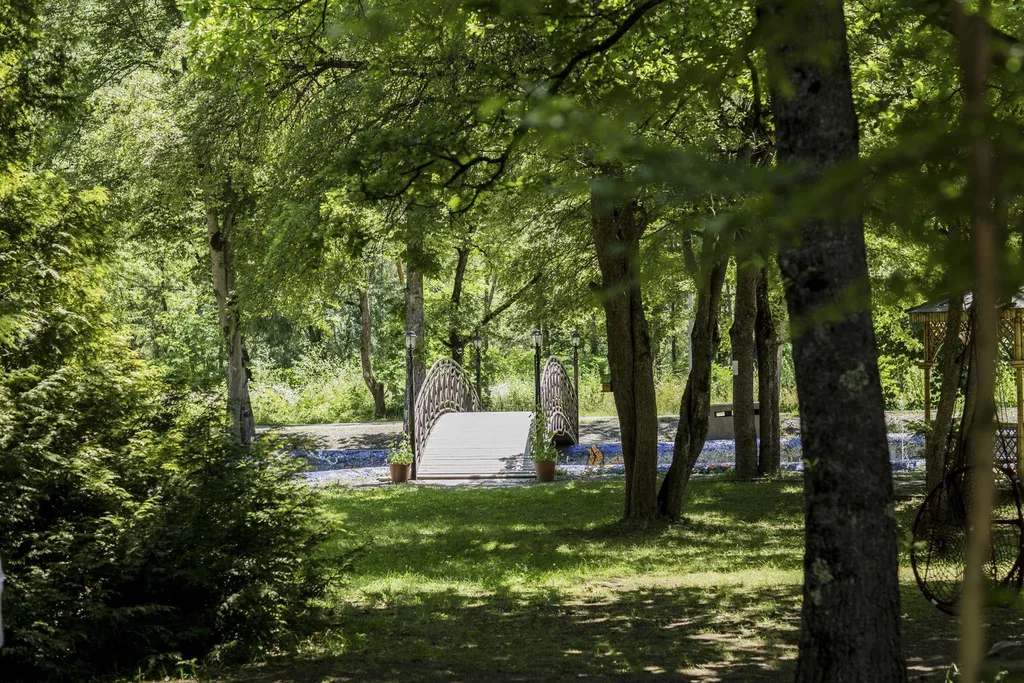 Borjomi Likani Health & Spa Centre — Park grounds