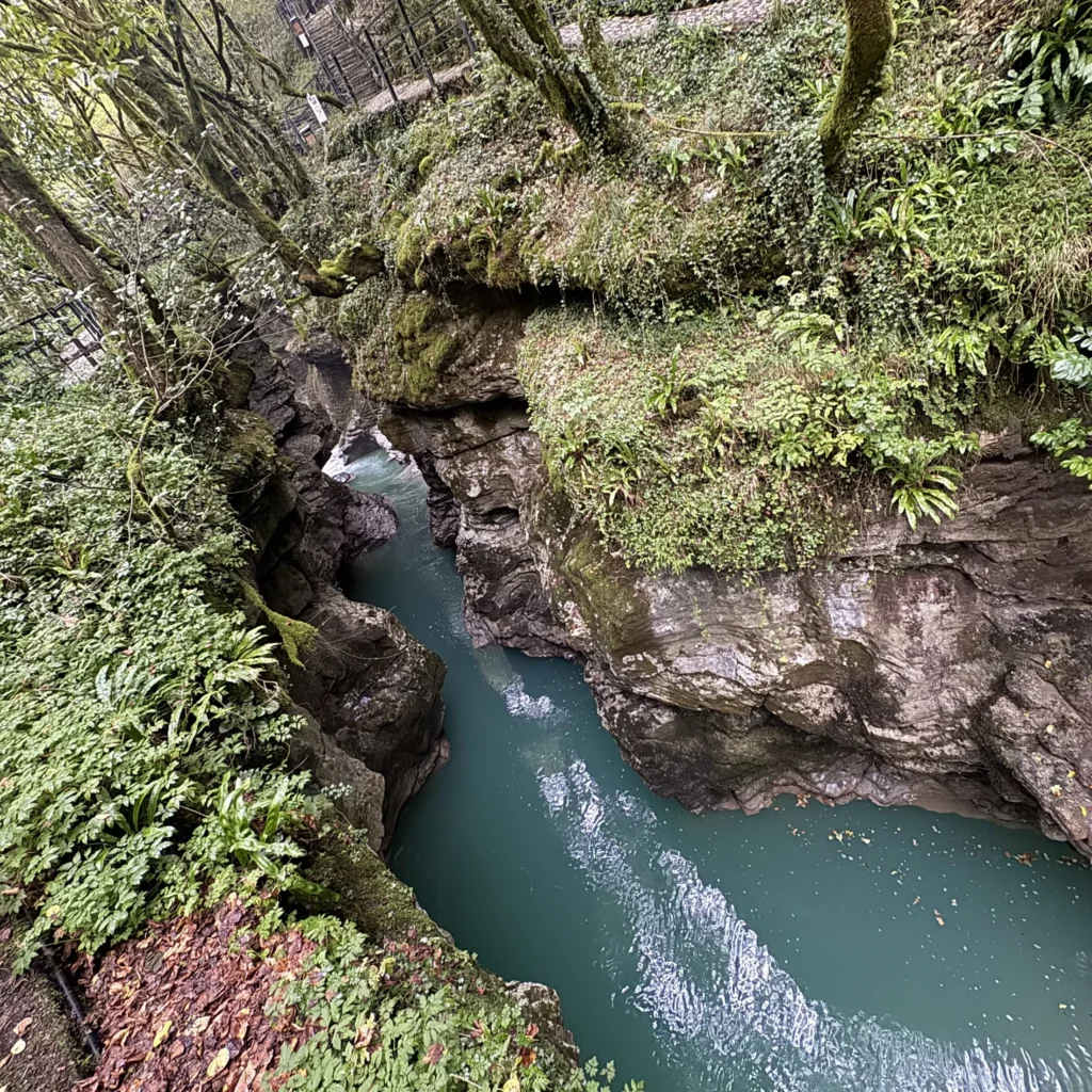 Turquoise water between the forested cliffs of Martvili Canyon.