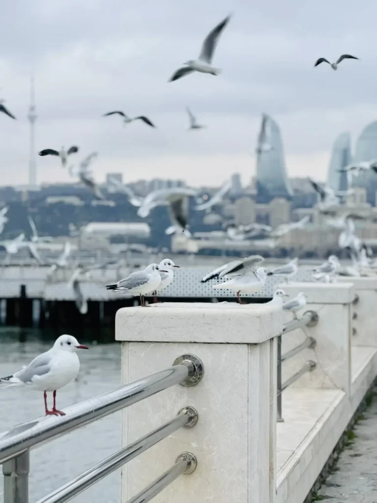 Baku Boulevard beside the Caspian Sea.