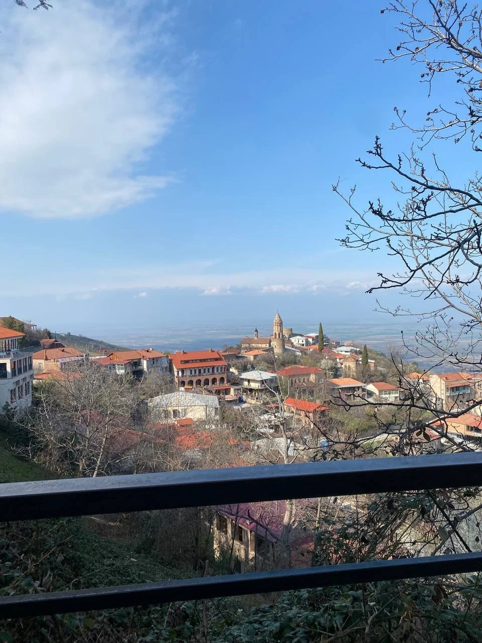A view across Sighnaghi