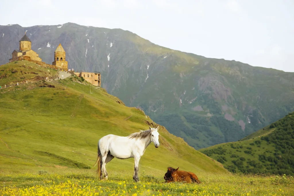 Horseback Riding