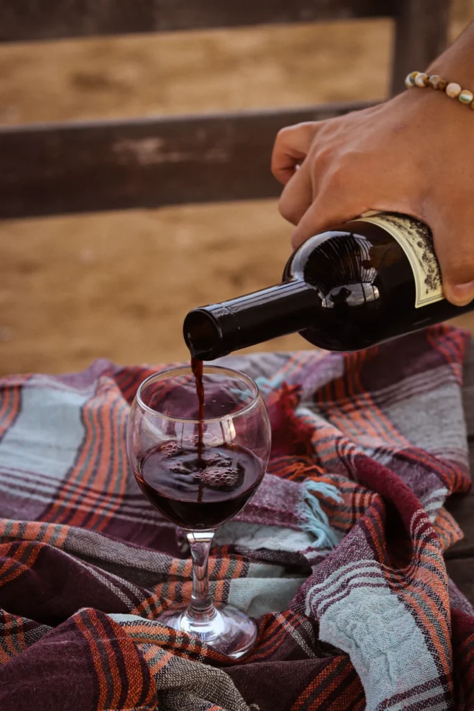 Additional premium wine tasting in Areni