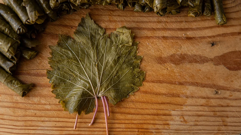 Traditional cooking experience featuring dolma or gata