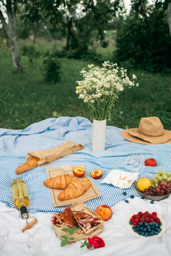 Picnic with Mountain Views