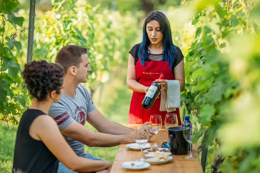 Schuchmann Wines Château, Villas & Spa — Wine experience